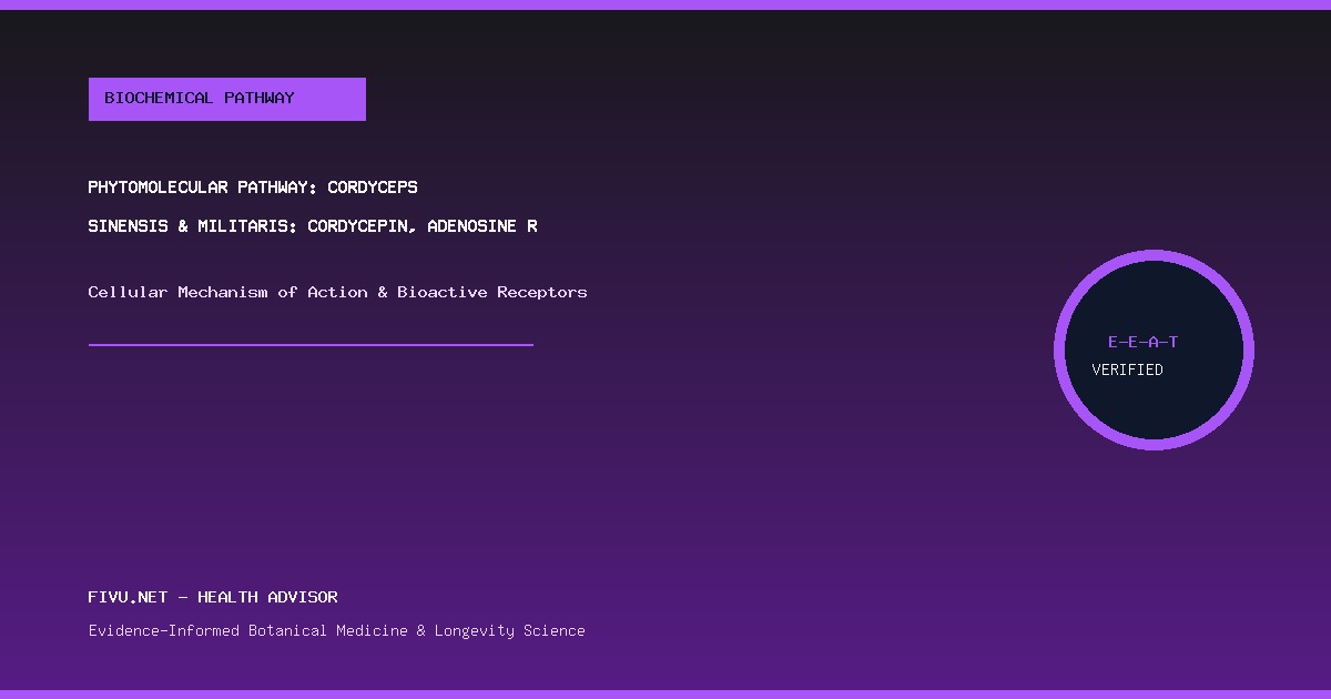 Figure 1: Phytomolecular Mechanism and Bioactive Pathways