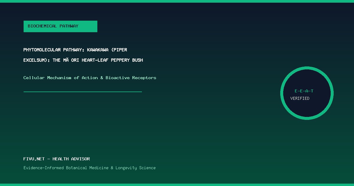Figure 1: Phytomolecular Mechanism and Bioactive Pathways