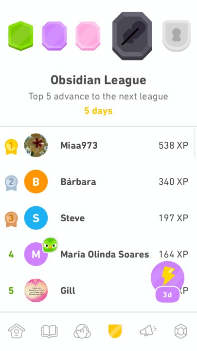 The leaderboard in Duolingo.