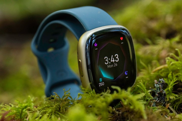 fitbit sense 2 review 9