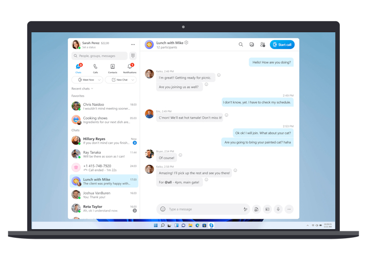 Skype Interface